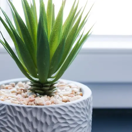 Au Nid Douillet - Comme A La Maison 公寓 *