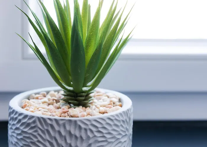 Au Nid Douillet - Comme A La Maison דירה *